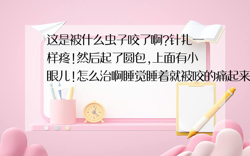 这是被什么虫子咬了啊?针扎一样疼!然后起了圆包,上面有小眼儿!怎么治啊睡觉睡着就被咬的痛起来了,呜呜 ,现在还疼.刚开始以为被针扎呢,一会儿就起了小包,还有针眼似的小孔,好害怕啊,就