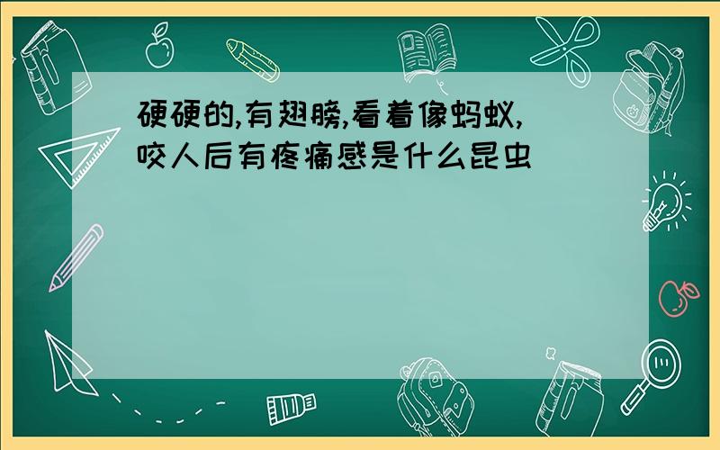 硬硬的,有翅膀,看着像蚂蚁,咬人后有疼痛感是什么昆虫