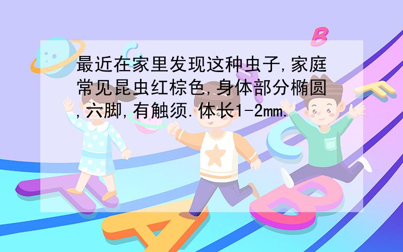 最近在家里发现这种虫子,家庭常见昆虫红棕色,身体部分椭圆,六脚,有触须.体长1-2mm.