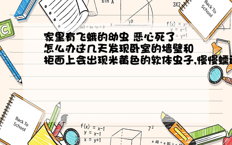 家里有飞蛾的幼虫 恶心死了 怎么办这几天发现卧室的墙壁和柜面上会出现米黄色的软体虫子,慢慢蠕动,很恶心.还有一些飞蛾,我怀疑是飞蛾的幼虫.每天都要消灭2,3只.不知道根源在哪里.弄的