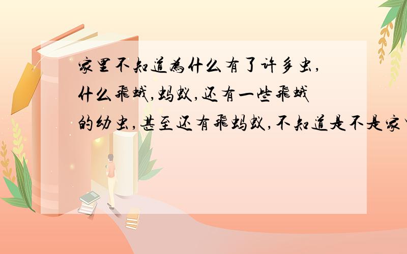 家里不知道为什么有了许多虫,什么飞蛾,蚂蚁,还有一些飞蛾的幼虫,甚至还有飞蚂蚁,不知道是不是家里养了一些花花草草的原因.有什么方法可以彻底把虫赶出去?