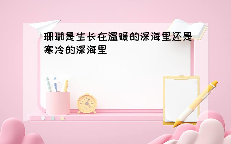 珊瑚是生长在温暖的深海里还是寒冷的深海里