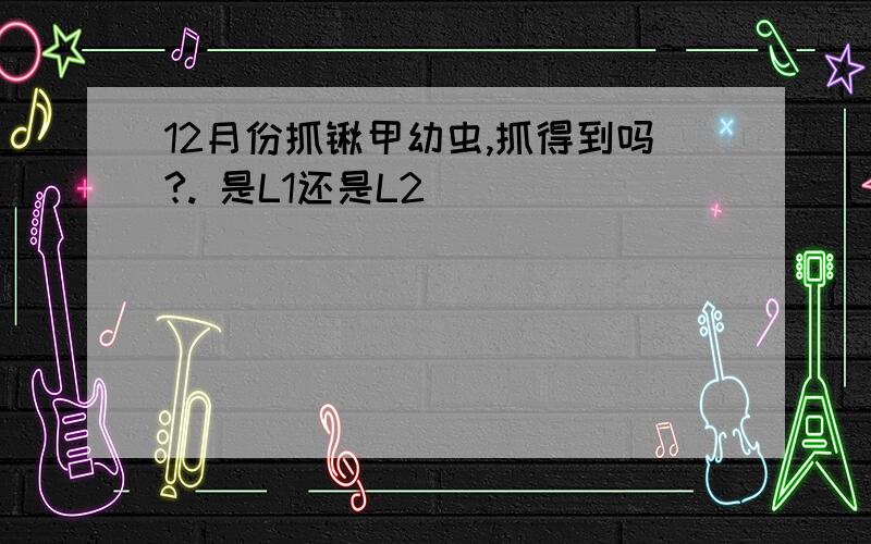 12月份抓锹甲幼虫,抓得到吗?. 是L1还是L2