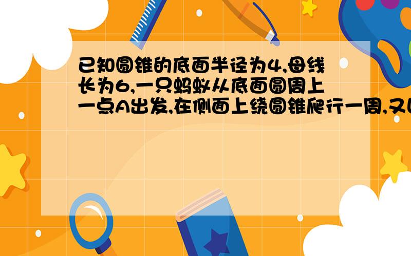 已知圆锥的底面半径为4,母线长为6,一只蚂蚁从底面圆周上一点A出发,在侧面上绕圆锥爬行一周,又回到A点,则蚂蚁经过的最短路程为?