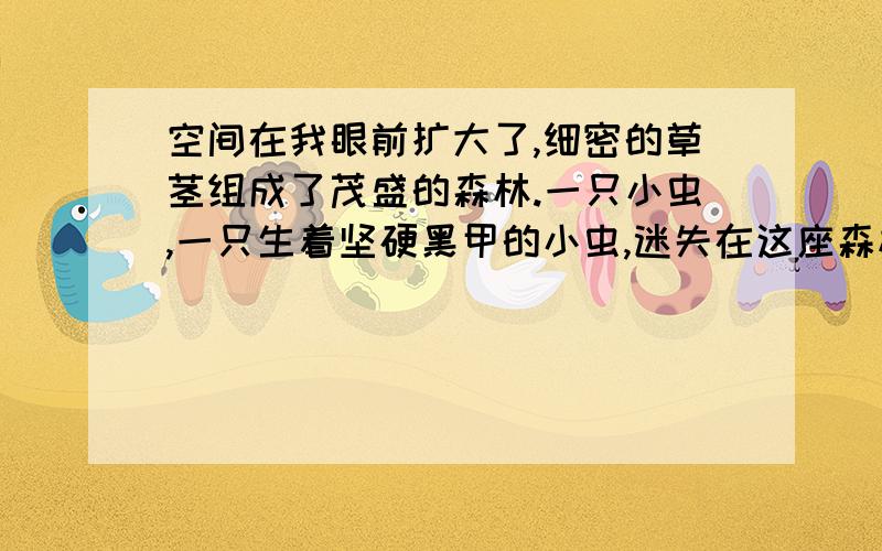 空间在我眼前扩大了,细密的草茎组成了茂盛的森林.一只小虫,一只生着坚硬黑甲的小虫,迷失在这座森林里.我想它一定是游侠吧!从这个句子中我感受到了_____________________________.