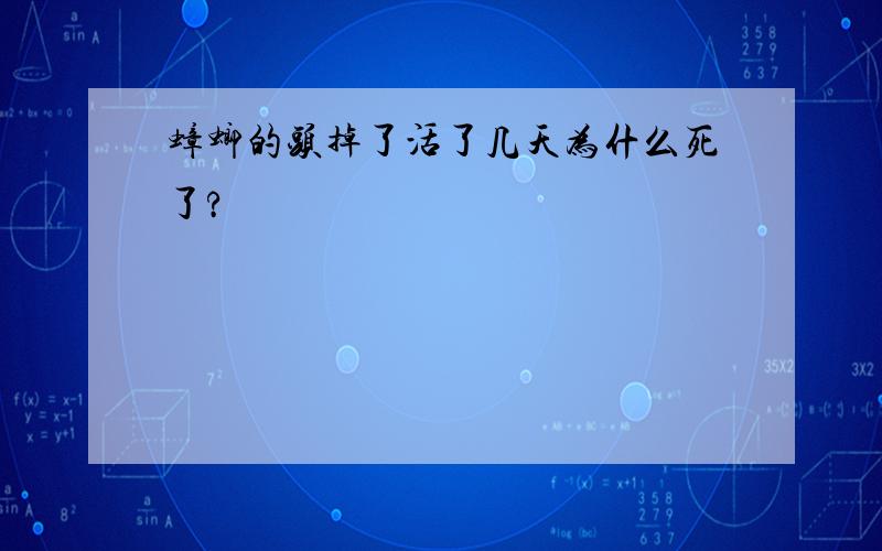 蟑螂的头掉了活了几天为什么死了?