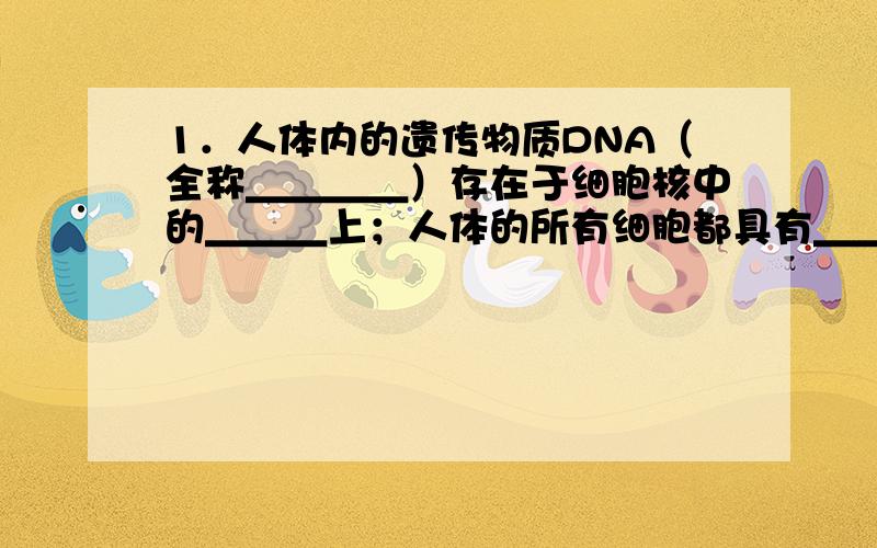 1．人体内的遗传物质DNA（全称＿＿＿＿）存在于细胞核中的＿＿＿上；人体的所有细胞都具有＿＿＿＿条染色体．2．炭疽杆菌与酵母菌相比,在结构上最明显的区别是＿＿＿,在环境条件较好