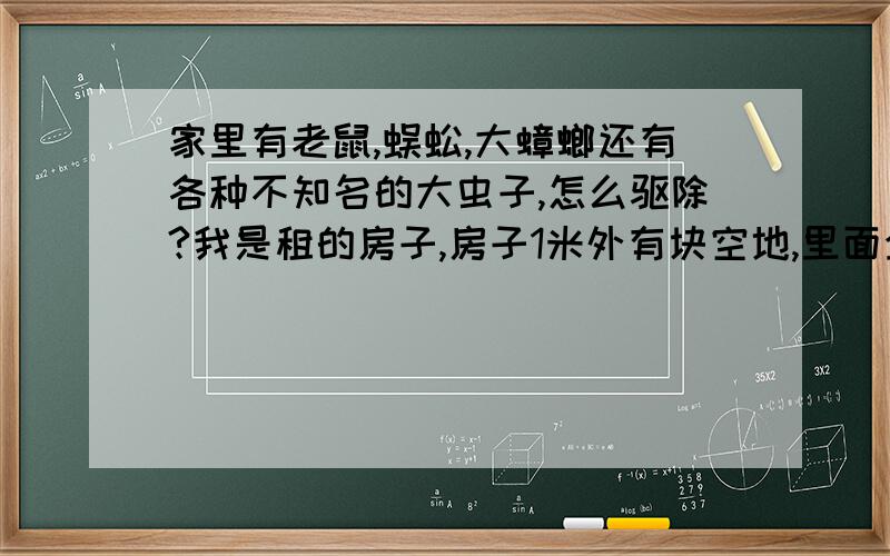 家里有老鼠,蜈蚣,大蟑螂还有各种不知名的大虫子,怎么驱除?我是租的房子,房子1米外有块空地,里面全是垃圾,还有人去大小便,十分的脏.然后家里经常出现蟑螂,很大的那种,还有老鼠,还有很大