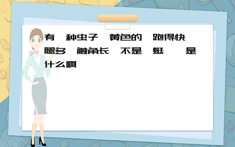 有一种虫子,黄色的、跑得快、腿多、触角长、不是蚰蜒、、是什么啊