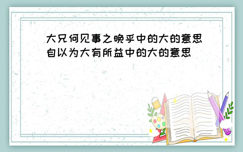 大兄何见事之晚乎中的大的意思自以为大有所益中的大的意思