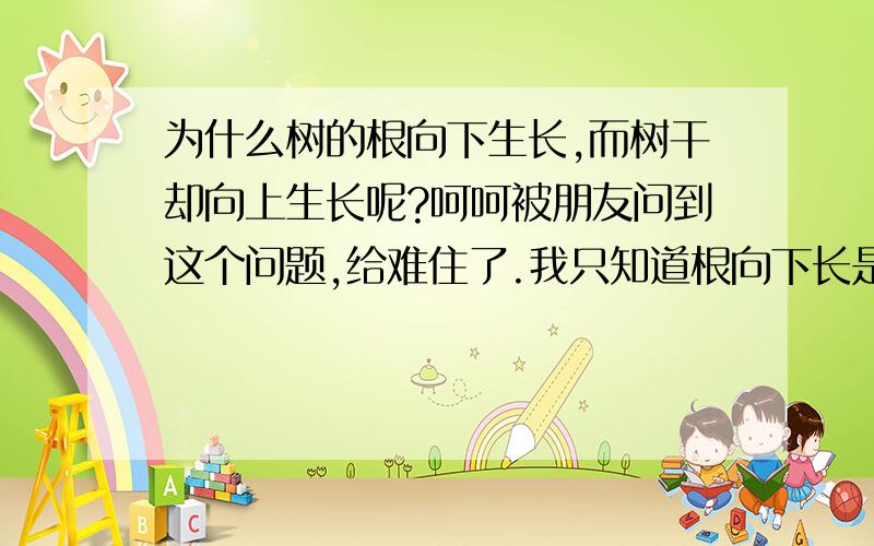 为什么树的根向下生长,而树干却向上生长呢?呵呵被朋友问到这个问题,给难住了.我只知道根向下长是因为地心引力和吸收营养.那树干为什么要向生长呢?(难道是因为要进行光合作用,而抵抗