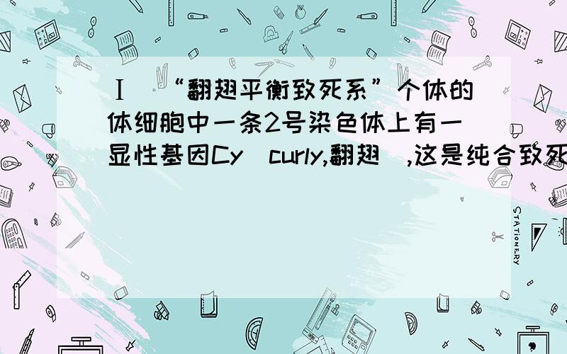 Ⅰ．“翻翅平衡致死系”个体的体细胞中一条2号染色体上有一显性基因Cy（curly,翻翅）,这是纯合致死的；另一条2号染色体上有另一显性基因S（star,星状眼）,也是纯合致死的.⑴“翻翅平衡致