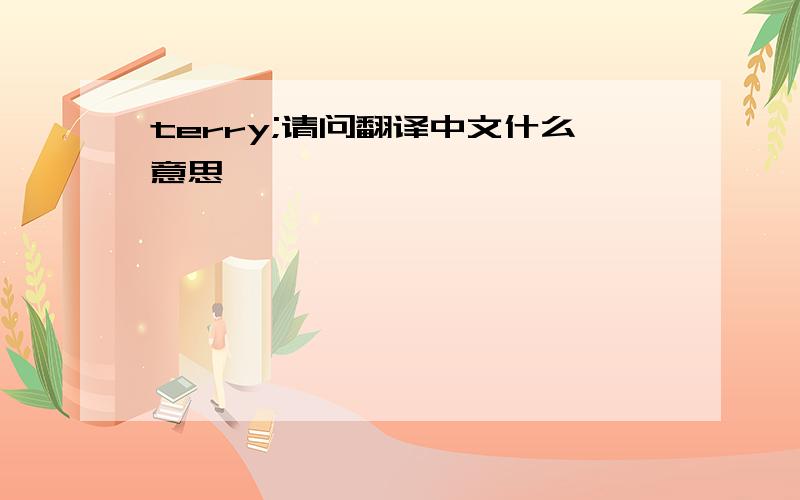 terry;请问翻译中文什么意思