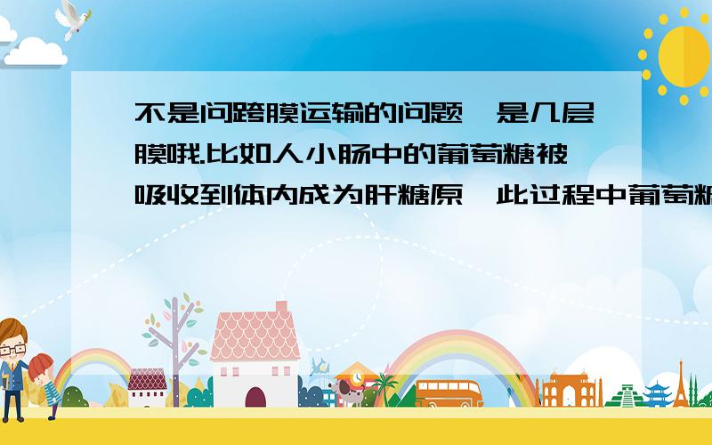 不是问跨膜运输的问题,是几层膜哦.比如人小肠中的葡萄糖被吸收到体内成为肝糖原,此过程中葡萄糖共穿过( )层膜 A.6 B.7 C.8 D.9 这类问题一直搞不大懂,希望有人可以帮忙解释清楚,