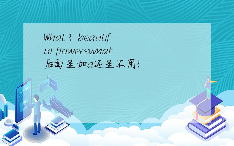 What ? beautiful flowerswhat后面是加a还是不用?