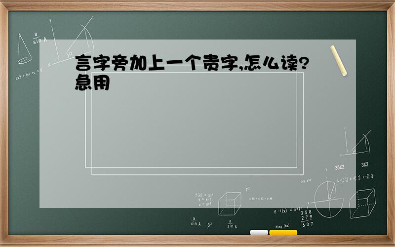 言字旁加上一个贵字,怎么读?急用