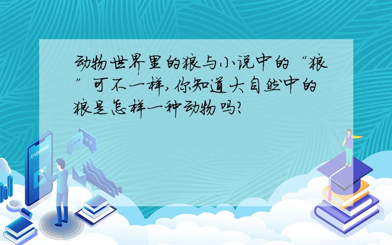 动物世界里的狼与小说中的“狼”可不一样,你知道大自然中的狼是怎样一种动物吗?