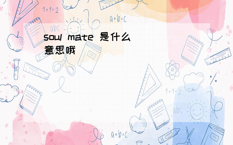 soul mate 是什么 意思哦