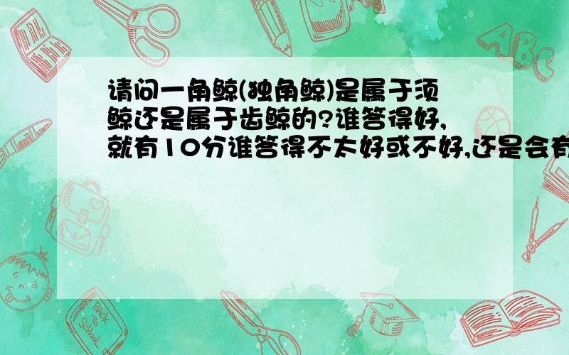 请问一角鲸(独角鲸)是属于须鲸还是属于齿鲸的?谁答得好,就有10分谁答得不太好或不好,还是会有5分希望你能给出一个正确的答案,帮助我解决难题!