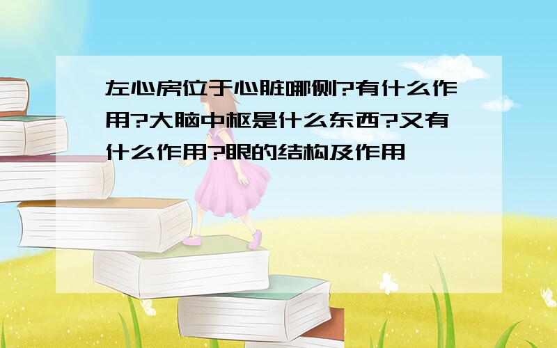 左心房位于心脏哪侧?有什么作用?大脑中枢是什么东西?又有什么作用?眼的结构及作用