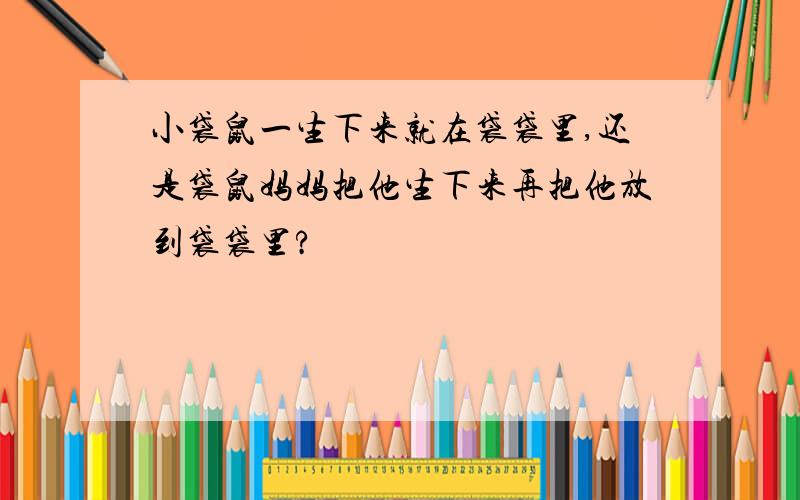 小袋鼠一生下来就在袋袋里,还是袋鼠妈妈把他生下来再把他放到袋袋里?