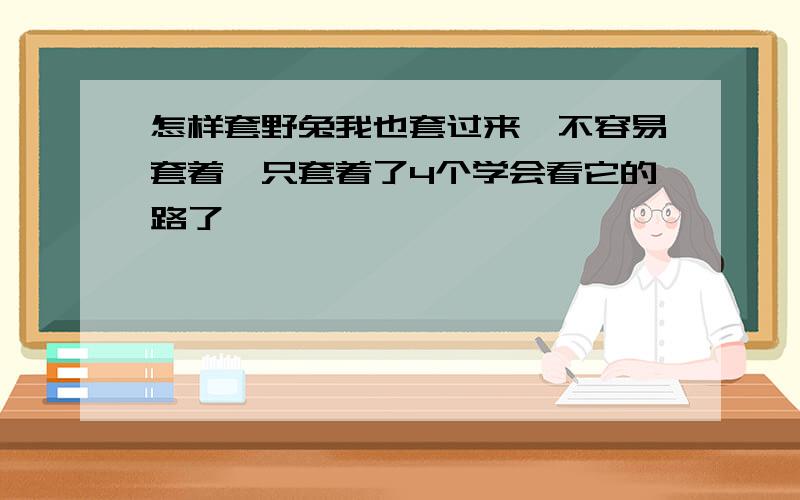 怎样套野兔我也套过来,不容易套着,只套着了4个学会看它的路了