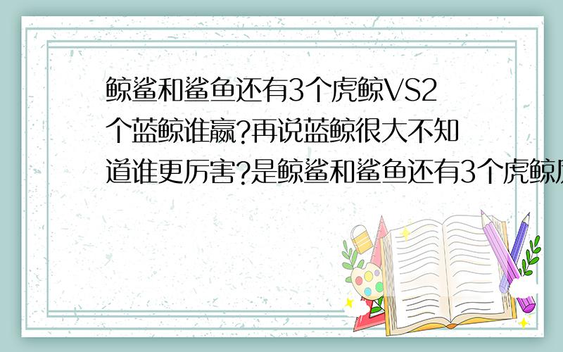 鲸鲨和鲨鱼还有3个虎鲸VS2个蓝鲸谁嬴?再说蓝鲸很大不知道谁更厉害?是鲸鲨和鲨鱼还有3个虎鲸厉害,还是2个蓝鲸厉害,我想请高手回答!