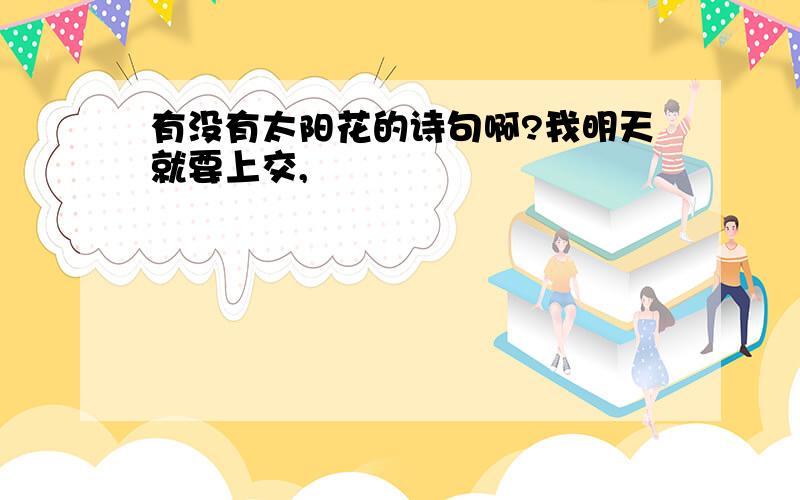 有没有太阳花的诗句啊?我明天就要上交,