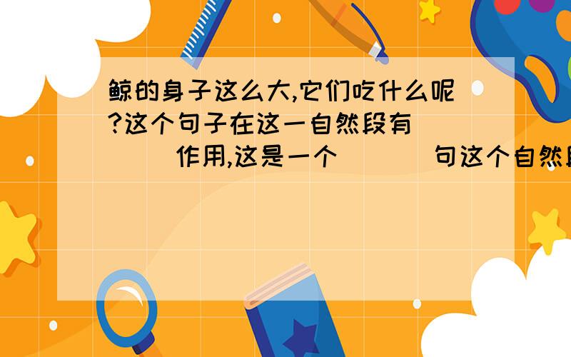 鲸的身子这么大,它们吃什么呢?这个句子在这一自然段有（    ）作用,这是一个（   ）句这个自然段:鲸的身子这么大,它们吃什么呢?须鲸主要吃虾和小鱼.它们在海洋里游的时候,张着大嘴,把许