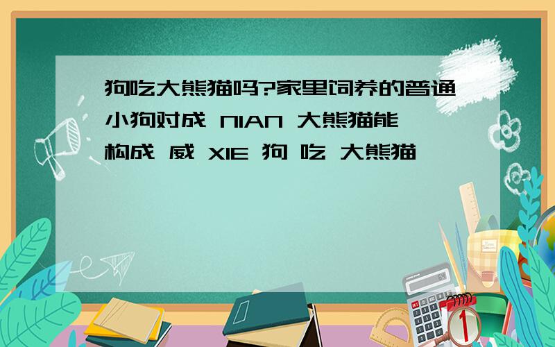 狗吃大熊猫吗?家里饲养的普通小狗对成 NIAN 大熊猫能构成 威 XIE 狗 吃 大熊猫