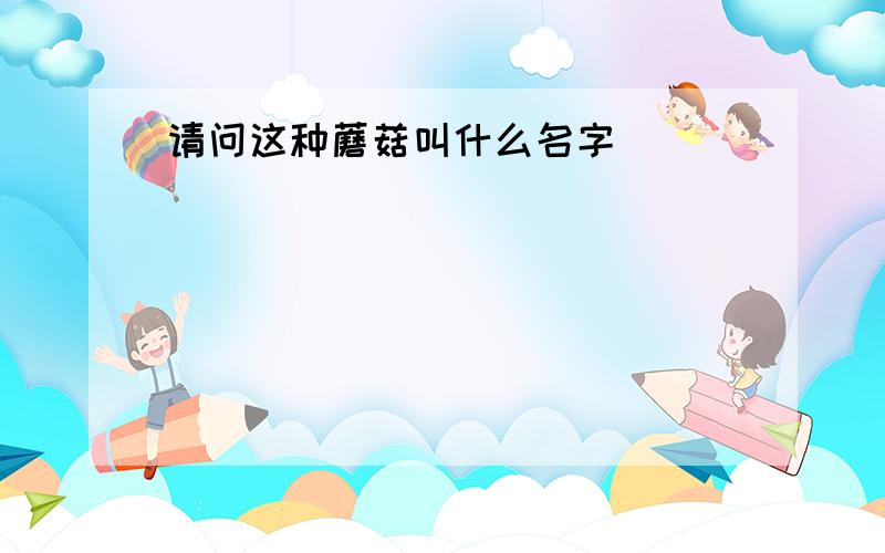 请问这种蘑菇叫什么名字