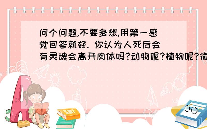 问个问题,不要多想,用第一感觉回答就好. 你认为人死后会有灵魂会离开肉体吗?动物呢?植物呢?微生物呢?问个问题,不要多想,用第一感觉回答就好.你认为人死后会有灵魂会离开肉体吗?动物呢?