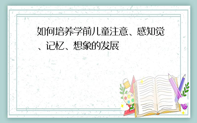 如何培养学前儿童注意、感知觉、记忆、想象的发展