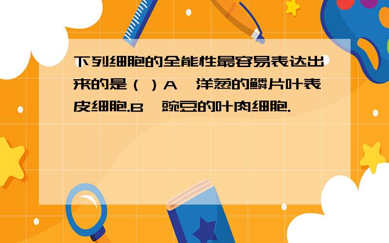 下列细胞的全能性最容易表达出来的是（）A、洋葱的鳞片叶表皮细胞.B、豌豆的叶肉细胞.