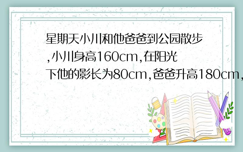 星期天小川和他爸爸到公园散步,小川身高160cm,在阳光下他的影长为80cm,爸爸升高180cm,则此时爸爸的影长为多少cm?