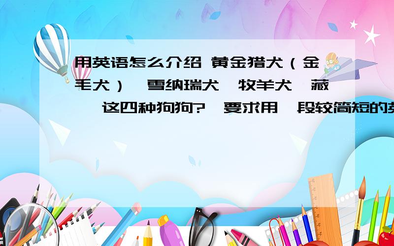 用英语怎么介绍 黄金猎犬（金毛犬）,雪纳瑞犬,牧羊犬,藏獒 这四种狗狗?`要求用一段较简短的英语.准确性要高啊~