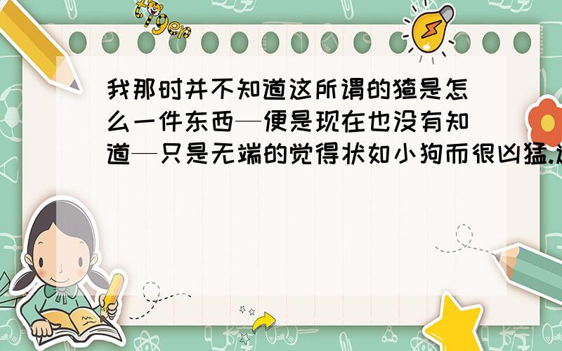 我那时并不知道这所谓的猹是怎么一件东西—便是现在也没有知道—只是无端的觉得状如小狗而很凶猛.透过这句话能体现“我”怎样的心情