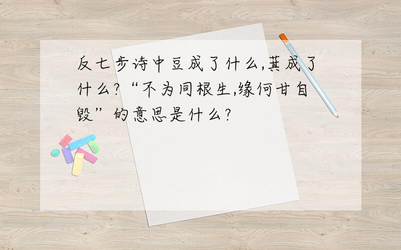 反七步诗中豆成了什么,萁成了什么?“不为同根生,缘何甘自毁”的意思是什么?