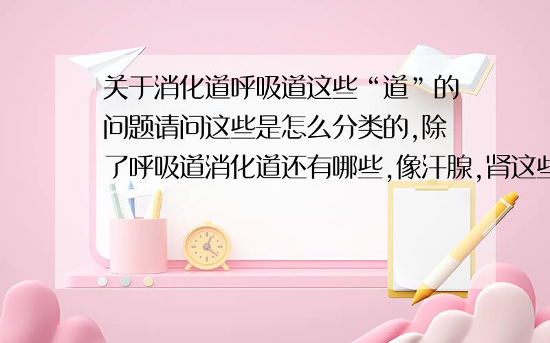 关于消化道呼吸道这些“道”的问题请问这些是怎么分类的,除了呼吸道消化道还有哪些,像汗腺,肾这些属于什么道呢?