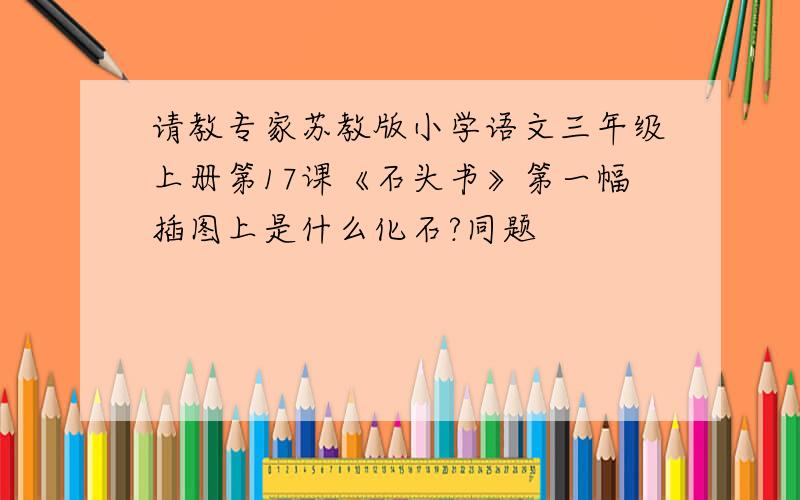 请教专家苏教版小学语文三年级上册第17课《石头书》第一幅插图上是什么化石?同题