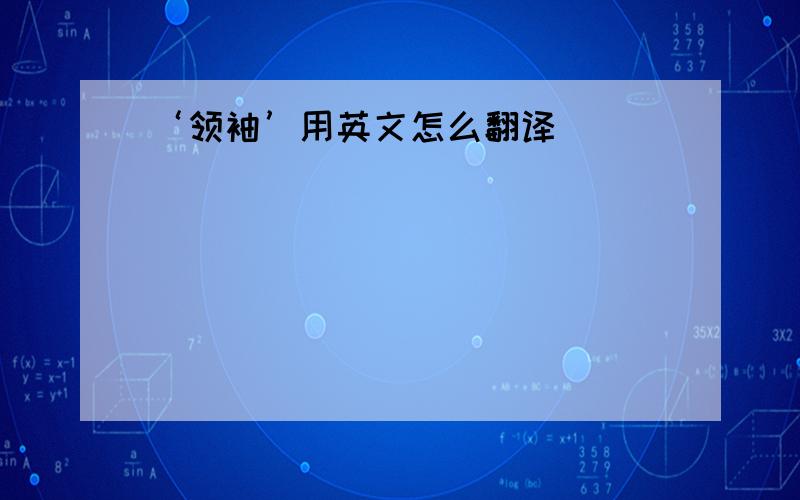 ‘领袖’用英文怎么翻译