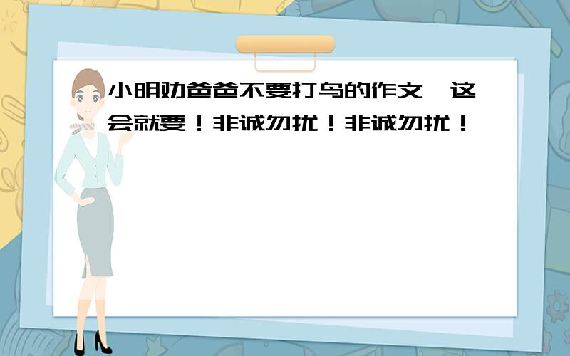 小明劝爸爸不要打鸟的作文,这会就要！非诚勿扰！非诚勿扰！