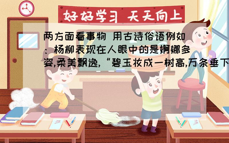 两方面看事物 用古诗俗语例如：杨柳表现在人眼中的是婀娜多姿,柔美飘逸,“碧玉妆成一树高,万条垂下绿丝绦” 它随遇而安,极易生长；但他材质疏松,难做栋梁,俗话说“柳树不成材”.