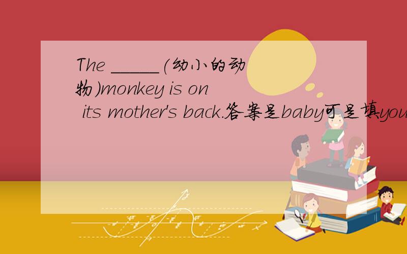 The _____(幼小的动物)monkey is on its mother's back.答案是baby可是填young不可以吗?