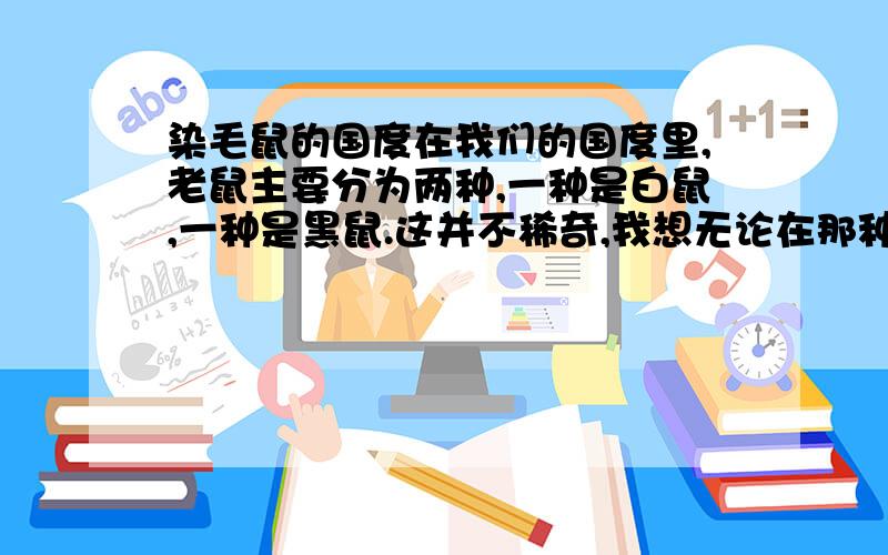 染毛鼠的国度在我们的国度里,老鼠主要分为两种,一种是白鼠,一种是黑鼠.这并不稀奇,我想无论在那种生物的国度里,总是会有些分类的,只不过分类多少而已,或者分类的标准不一而已.那么,这