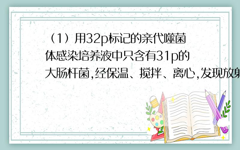 （1）用32p标记的亲代噬菌体感染培养液中只含有31p的大肠杆菌,经保温、搅拌、离心,发现放射性同位素主要分布在＿（沉淀物,上清液）中,繁殖n代后,含32p的噬菌体占所有噬菌体的比例是＿,