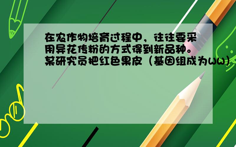 在农作物培育过程中，往往要采用异花传粉的方式得到新品种。某研究员把红色果皮（基因组成为WW）辣椒的花粉人工传粉到黄色果皮（基因组成为ww）辣椒上，则当年得到的辣椒果皮的基因