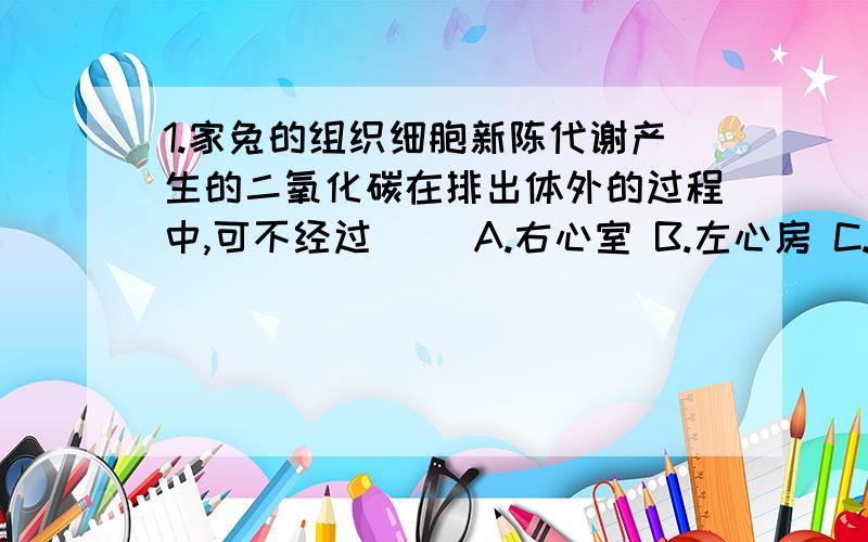 1.家兔的组织细胞新陈代谢产生的二氧化碳在排出体外的过程中,可不经过（） A.右心室 B.左心房 C.体静脉 D.肺动脉 2.在海滨地区,白昼和夜晚的风向往往（） A.白昼从海面吹来,夜晚从陆地吹