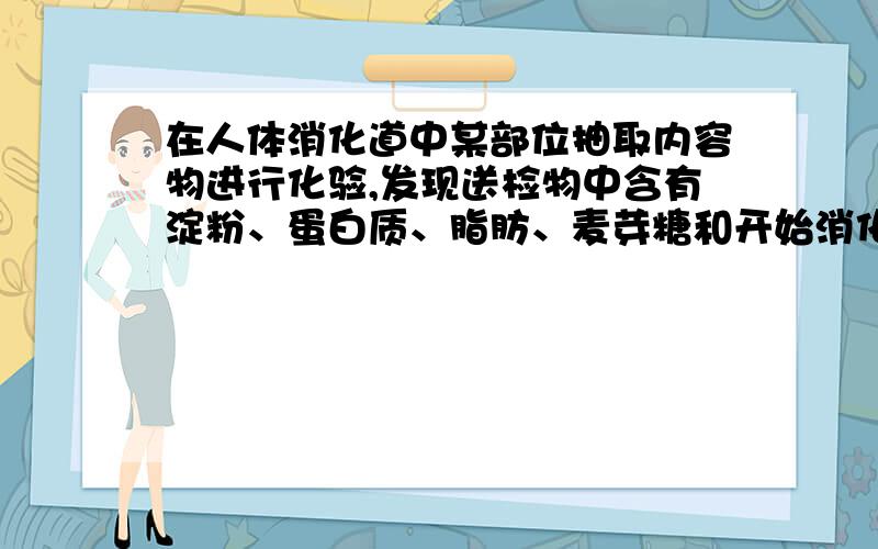 在人体消化道中某部位抽取内容物进行化验,发现送检物中含有淀粉、蛋白质、脂肪、麦芽糖和开始消化的蛋白质,送检物可能取于（ ）A食道 B胃 C小肠 D大肠