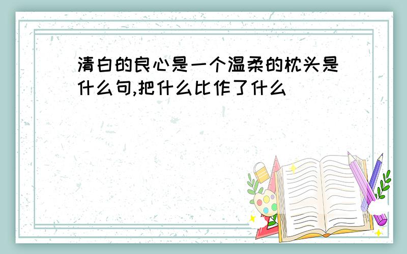 清白的良心是一个温柔的枕头是什么句,把什么比作了什么